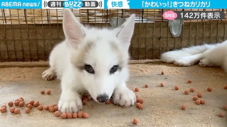 【写真・画像】　1枚目