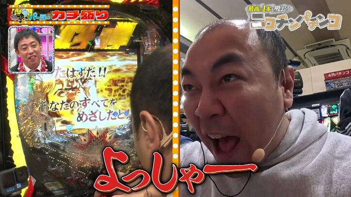 激熱のキリン柄