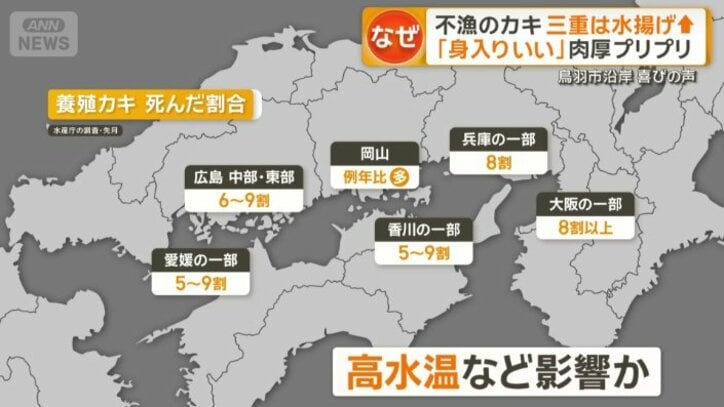 瀬戸内海を中心に歴史的不漁のカキ