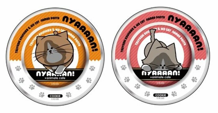 鴻池剛と猫のぽんた ニャアアアン コラボカフェが登場 ぽんた アルフの可愛いメニューも公開 ニュース Abema Times