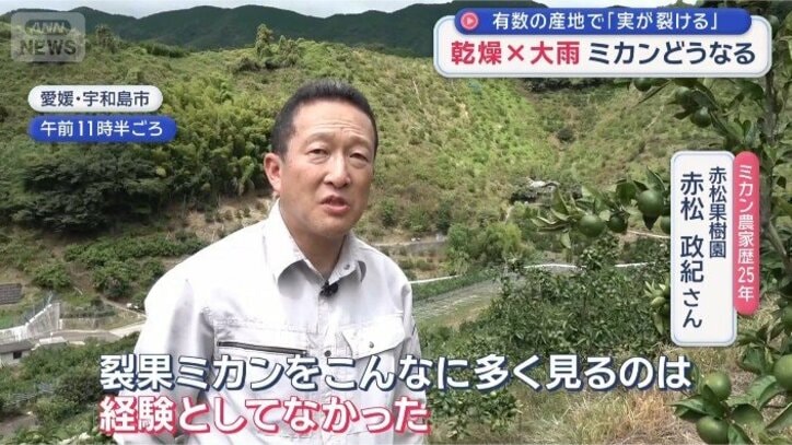 赤松さん