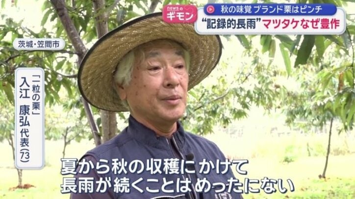 「一粒の栗」　入江康弘代表