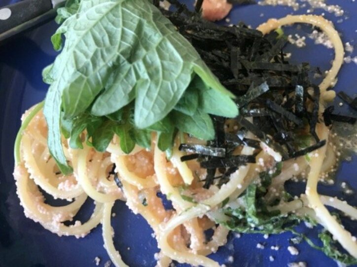 あいのり・桃、リアルな手料理を公開「フォトジェニックの裏側の世界」