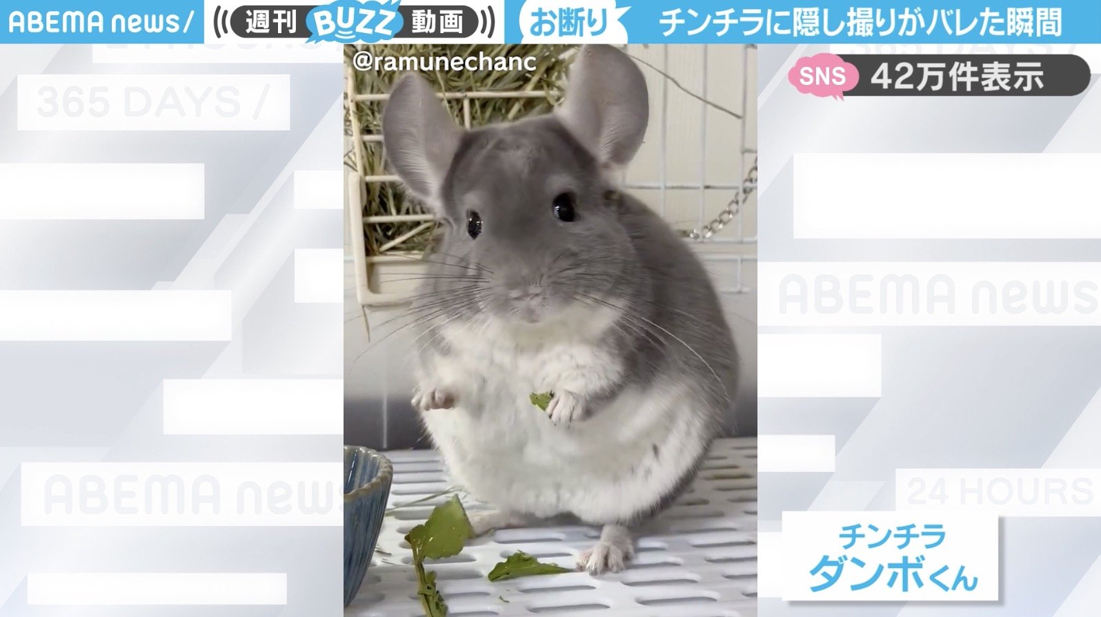 隠し撮り バレ 