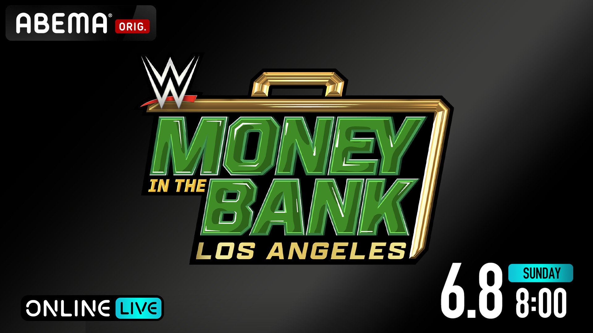 WWE マネー・イン・ザ・バンク　レプリカ WWE マネー・イン・ザ・バンク記念ブリーフケース（ブルー