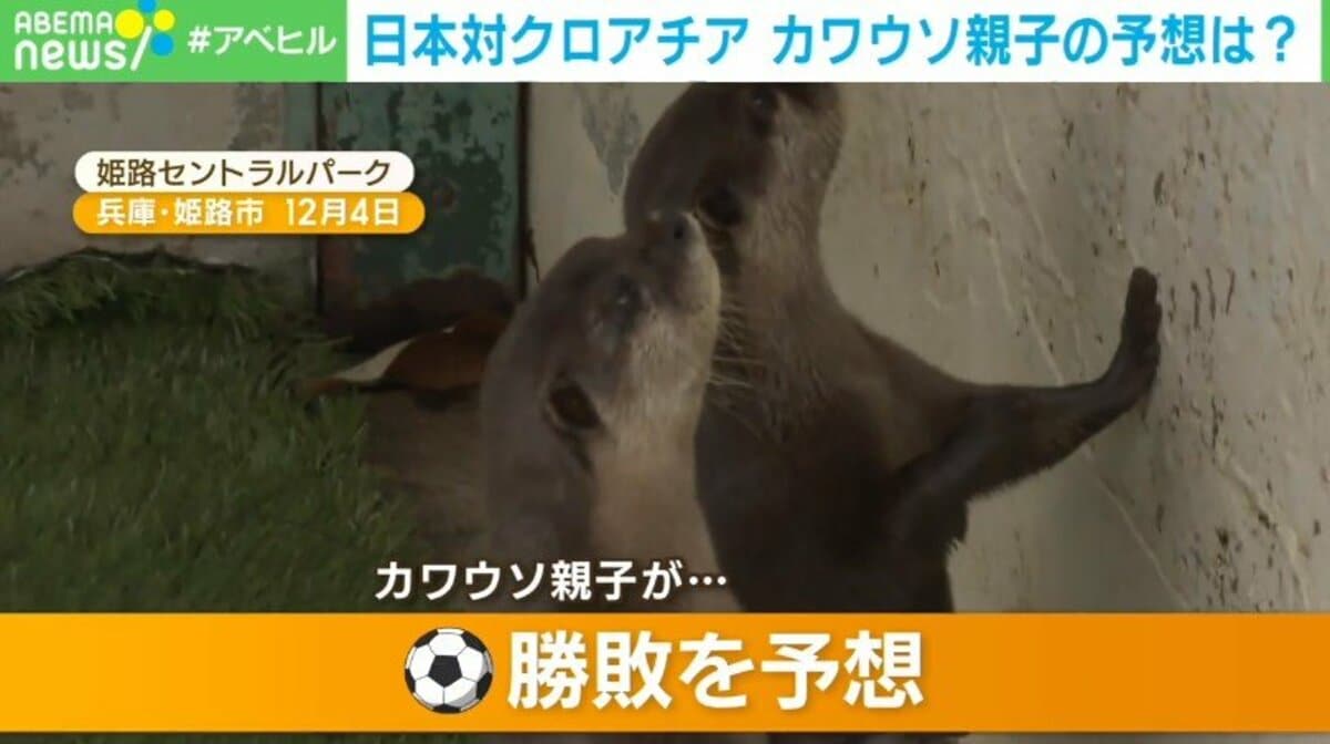 エッセンシャルズ] 絶対にデカすぎる狼の親子 - ellinikifysi.gr