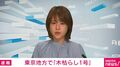 東京地方で「木枯らし1号」