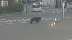 小学校の通学路を駆け抜ける姿も…福島で4人を襲ったクマ 工場に30時間以上居座る