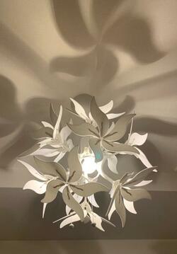  LiLiCo、耳の異常で病院を受診した結果「鼓膜に近くて....それで違和感あったみたい」 