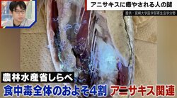 サバやサンマ、イカなどの刺身に要注意 激しい痛みを伴う「アニサキス」の予防法を専門家に聞いた「死滅させるには、焼くか冷凍。お酢では死なない、噛んでも死なない」