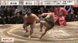 朝乃山10連勝、十両1場所通過で幕内復帰が見えた！迫力の圧勝に応援キッズも大興奮「つええ」「一蹴w」