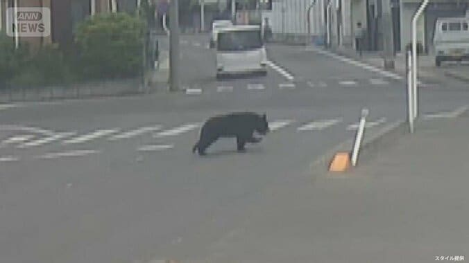 小学校の通学路を駆け抜ける姿も…福島で4人を襲ったクマ 工場に30時間以上居座る 1枚目