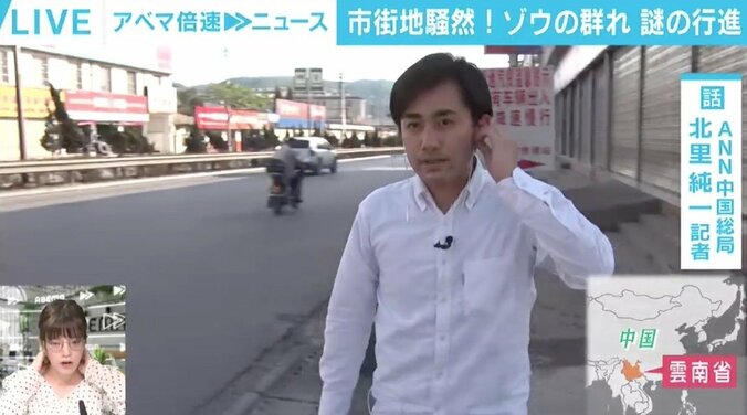 「怪獣映画を見ているような気持ちに」 中国で野生のアジアゾウ15頭が500kｍ北上、昆明市入りし都市部に迫る 2枚目