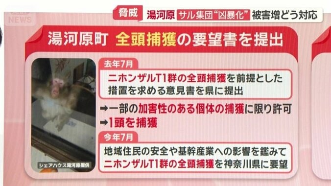 全頭捕獲の要望書を提出…