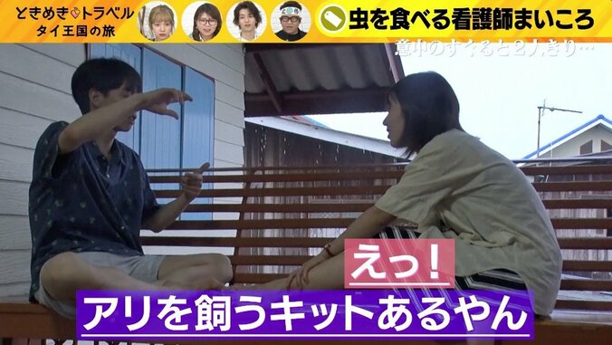 美人ナースの特殊すぎる嗜好「まだ言いたくない…」　得意料理にスタジオ驚愕 6枚目