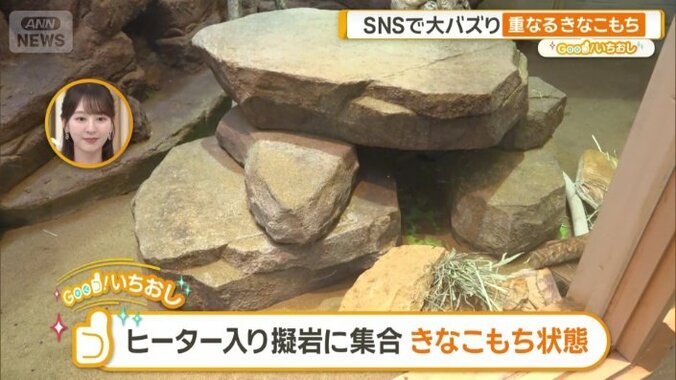 ヒーターの入った人工の岩