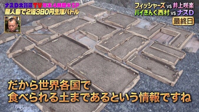 ナスD、無人島でこだわりの家づくり！完成形にバイきんぐも「家じゃん！スゲーな…」と唖然 4枚目