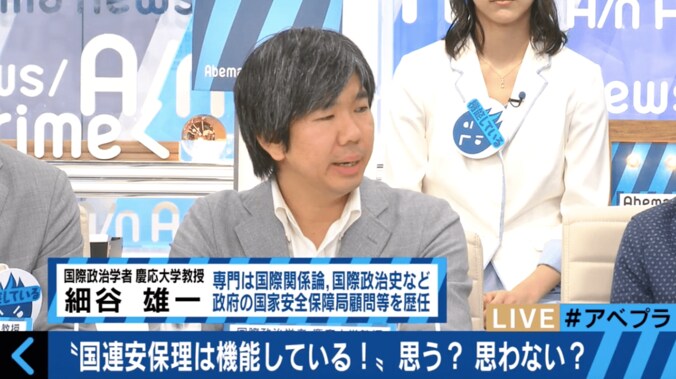 「国連安保理は機能している？」で激論　”幼稚園”を例えに専門家が持論を展開 6枚目