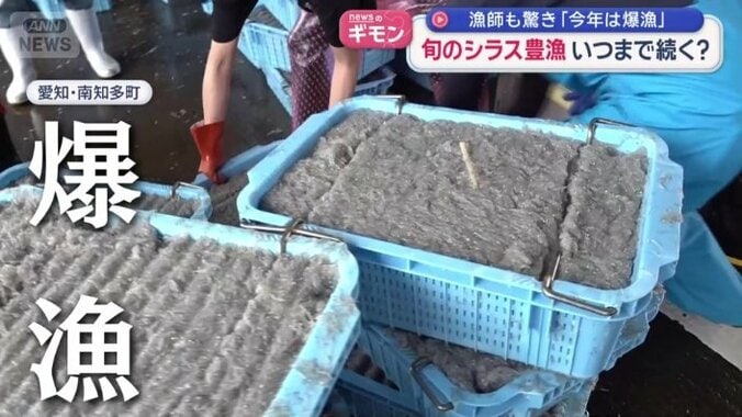 爆漁も納得