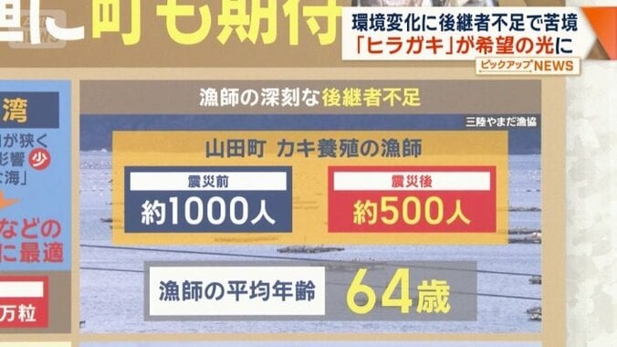 漁師の深刻な後継者不足