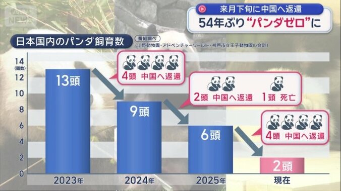 現在は上野にいる2頭だけに