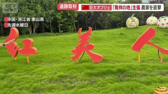 元々は日本の「紅まどんな」