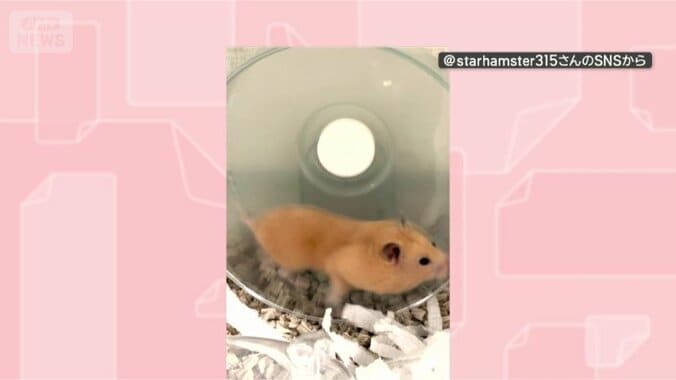 一生懸命に走ります