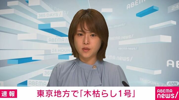 アナウンサー