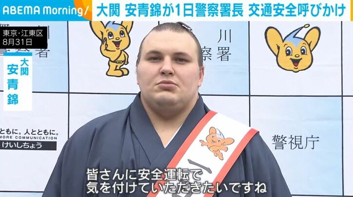 大関・安青錦
