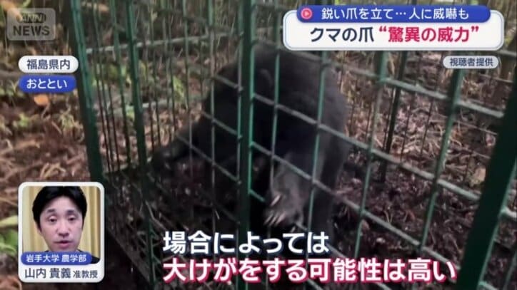 鋭い爪がむき出し