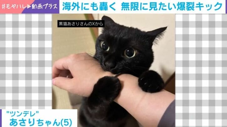 あさりちゃん
