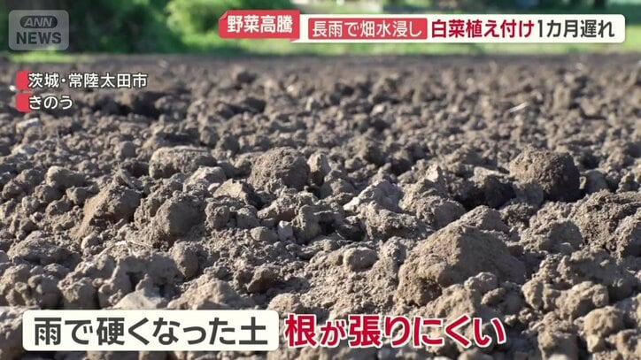 雨により硬くなった土