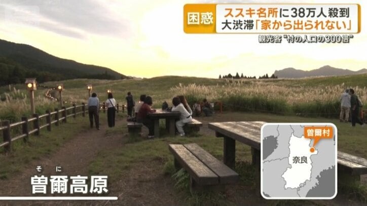曽爾高原