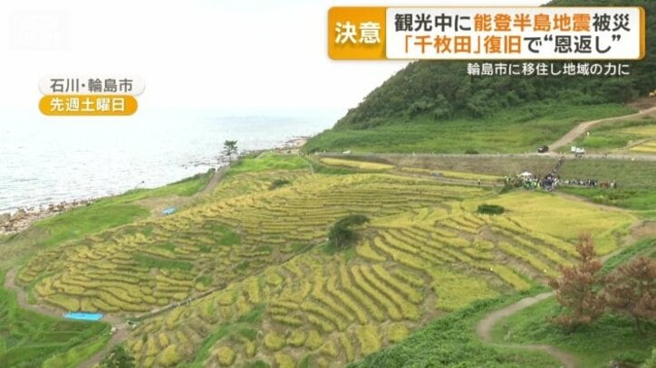 白米千枚田