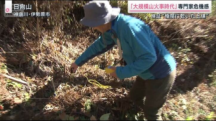「“大規模山火事時代”に入った」頻発・長期化する山林火災の要因とは