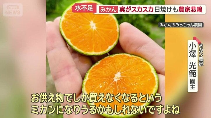 「お供え物でしか買えなくなる…？」