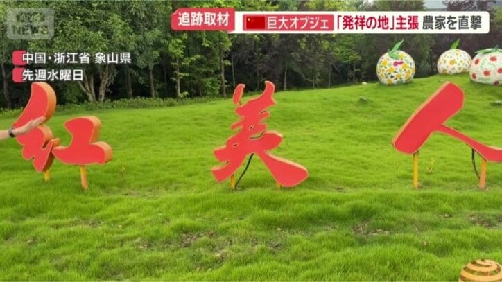 元々は日本の「紅まどんな」