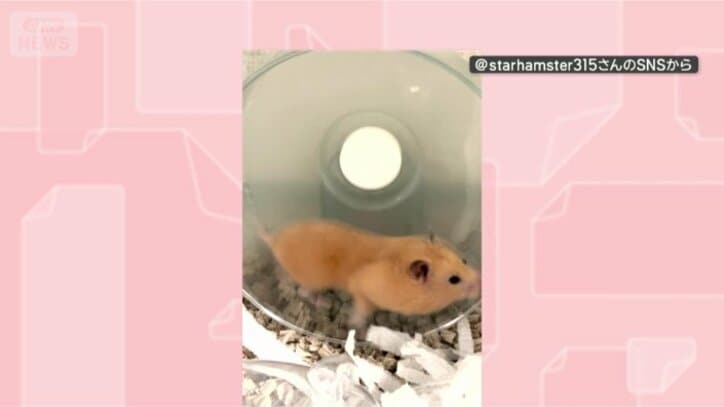 一生懸命に走ります