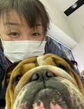  北斗晶、愛犬が大喧嘩の末に怪我をしたため受診「お口の周り真っ赤っか」 
