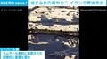 押し寄せる“真っ黒な波”…製油所が攻撃され原油が海へ流出 魚や鳥が油まみれに イラン