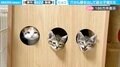 「顔出しパネル！？」3つの穴から顔を出す子猫たちの姿に「可愛すぎ」「世の中の信号機が全部これだったら…」と反響
