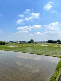 北斗晶『いつか泣く』