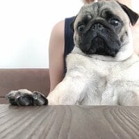 佐々木かい『毎日毎朝、夫婦でイライラし合っていること』