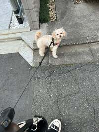 ノンスタイル井上嫁『試験結果』