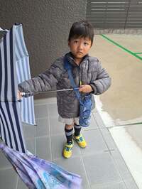 小原正子『確認⭐』