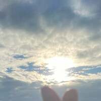 かとうかず子『おはようございます』