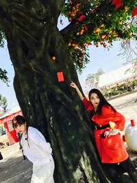 平野ノラ『ニコルシリーズ①』