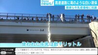 けやきヒルズ - 最新NEWS - よい子はマネしないでください 高速道路に滝のような白い液体 他 (19/02/12) | 動画視聴は【Abemaビデオ(AbemaTV)】