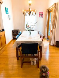 堀ちえみ『たくさんのお祝いコメント有難うございました。』