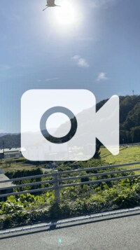 藤原紀香『天然記念物に遭遇!』